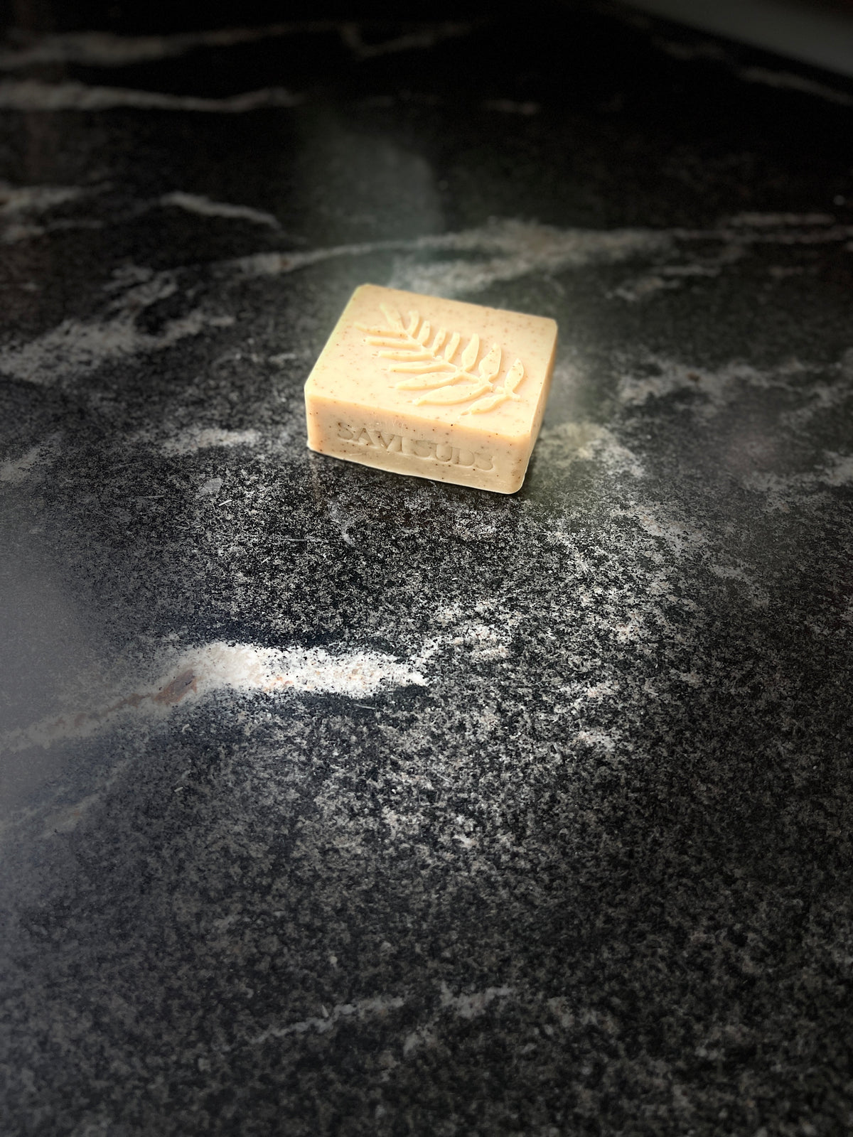 Coffee House Soap - Plant Based